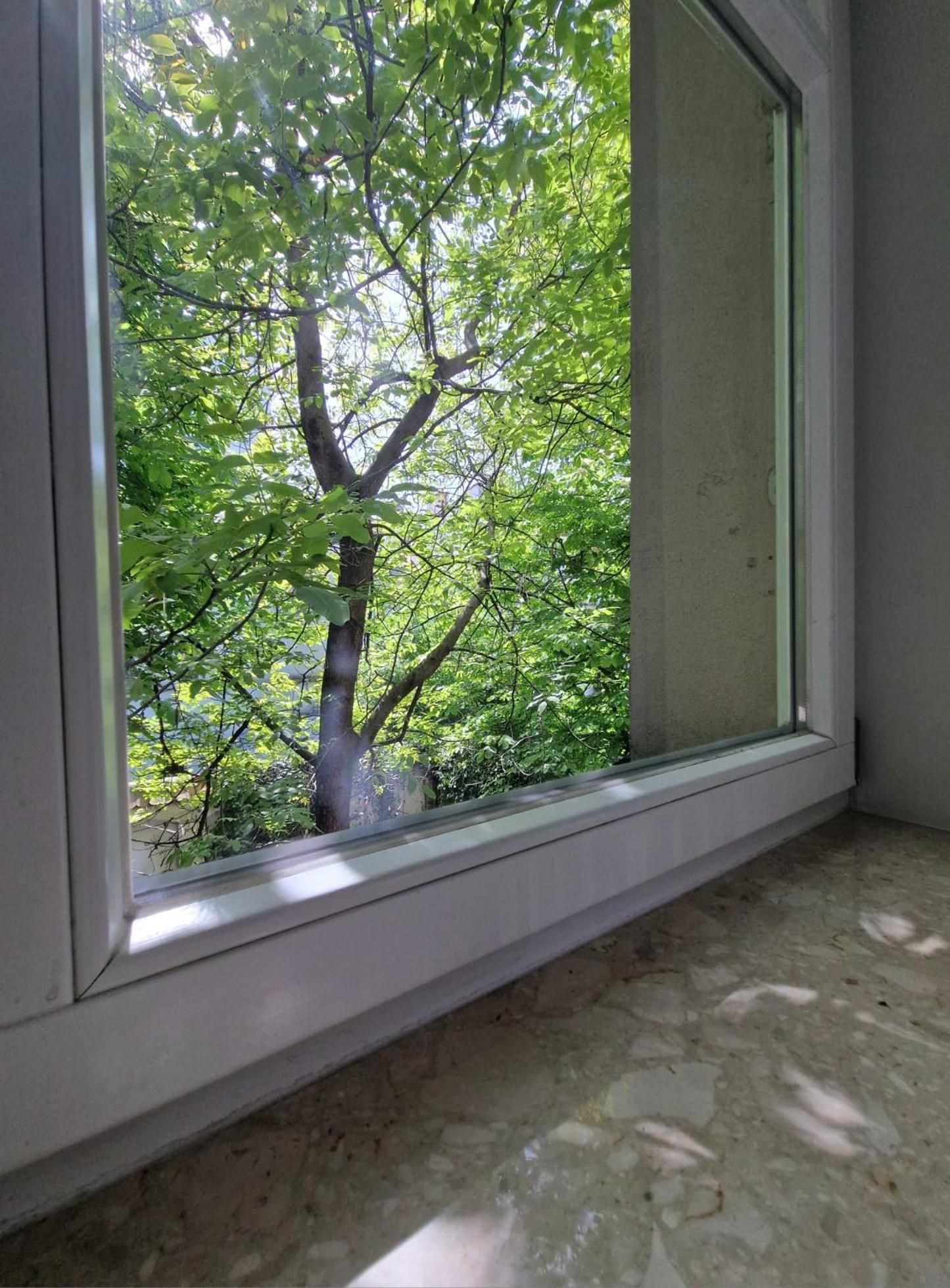 Brokilon House Daire Krakow Dış mekan fotoğraf